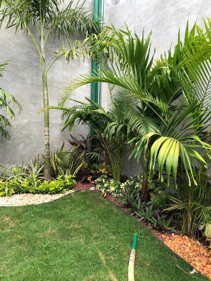 Hotel Suites La Negra Boutique Merida Luaran gambar